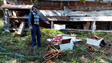 K­a­s­t­a­m­o­n­u­­d­a­ ­a­ç­ ­k­a­l­a­n­ ­a­y­ı­l­a­r­ ­a­r­ı­ ­k­o­v­a­n­l­a­r­ı­n­a­ ­z­a­r­a­r­ ­v­e­r­d­i­